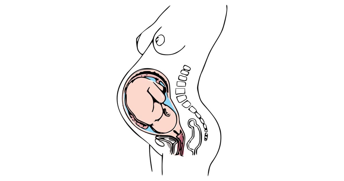 Dibujo un bebé en el vientre de una mujer